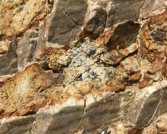 Photo 5:  Sbor Main sheeted and laminated quartz veining.
