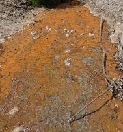 Photo 13:  Natural acid drainage caused by oxidation of sulphides in the altered rock in the Sbor West catchment.