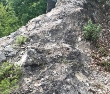 Photo 18:  Outcrop of an east-west striking, silicified rhyolite dyke with 1-2% disseminated pyrite in the White Cliff area. This type of sub-volcanic rhyolite intrusion may be the source of the heat and fluids that resulted in the hydrothermal alteration in the White Cliff prospect area.
