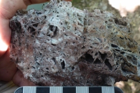 Photo 20: “Lattice bladed” textures in Belopoltsi silicified rock sample. This texture is typical of late replacement of carbonate by silica and indicative of a low temperature, low sulphidation epithermal depositional environment.