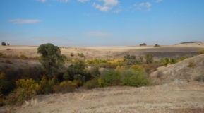 Photo 1: View of the Pozharevo area in the eastern portion of the Zlatusha Permit.