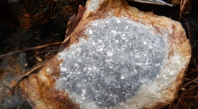 Photo 9: Silicified porphyritic rock – Rosoman Prospect.
