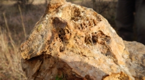 Photo 10: Calcite replacement textures in float from the north-western corner of the Zlatusha permit where potential exists for skarn mineralisation.