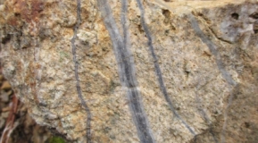 Photo 12: Banded “cold” quartz veining in porphyritic granodiorite from the Rosoman Prospect.