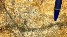Photo 13: Quartz-sulphide veining in granodiorite outcrop – Rosoman Prospect.